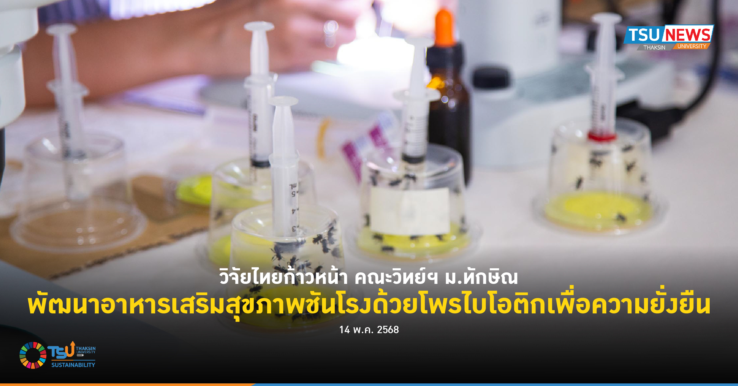 วิจัยไทยก้าวหน้า คณะวิทย์ฯ ม.ทักษิณ พัฒนาอาหารเสริมสุขภาพชันโรงด้วยโพรไบโอติกเพื่อความยั่งยืน