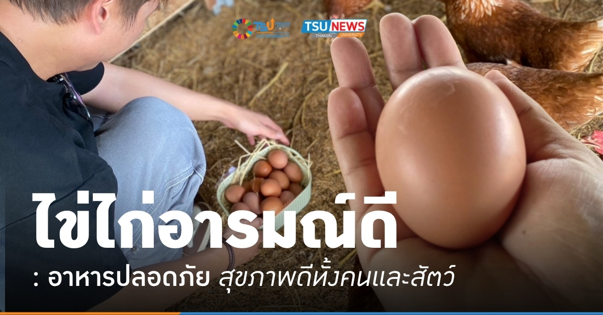 ไข่ไก่อารมณ์ดี อาหารปลอดภัย สุขภาพดีทั้งคนและสัตว์