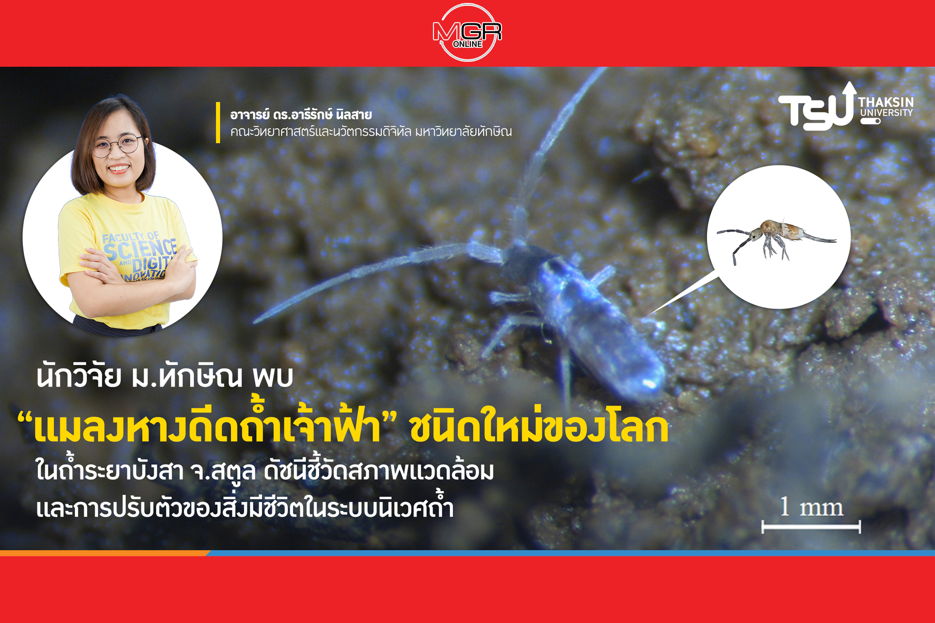 นักวิจัย ม.ทักษิณ พบ แมลงหางดีดถ้ำเจ้าฟ้า ชนิดใหม่ของโลก ในถ้ำระยาบังสา จ.สตูล ดัชนีชี้วัดสภาพแวดล้อมและการปรับตัวของสิ่งมีชีวิตในระบบนิเวศถ้ำ