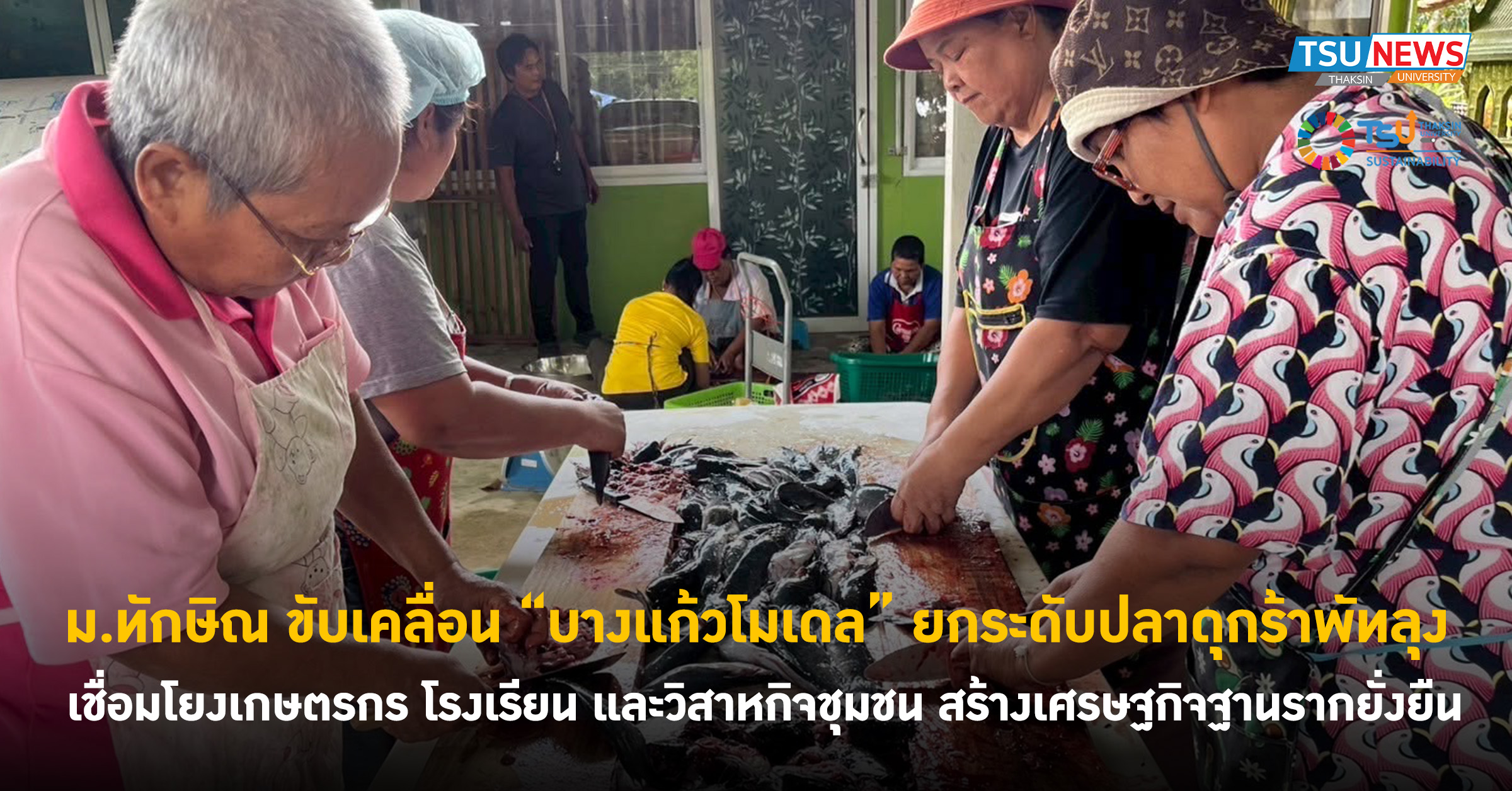 ม.ทักษิณ ขับเคลื่อน บางแก้วโมเดล ยกระดับปลาดุกร้าพัทลุง เชื่อมโยงเกษตรกร โรงเรียน และวิสาหกิจชุมชน สร้างเศรษฐกิจฐานรากยั่งยืน