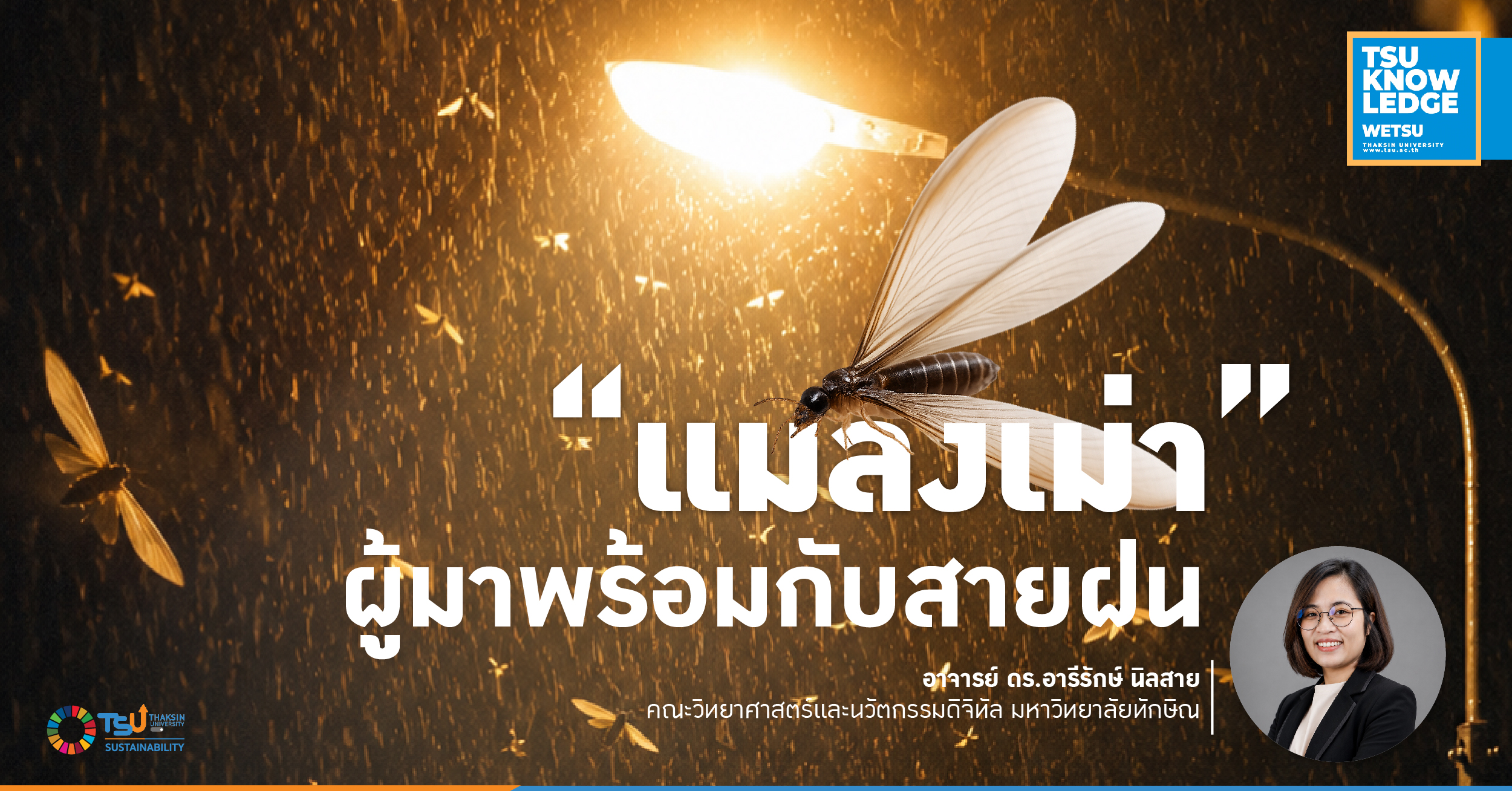 แมลงเม่า ผู้มาพร้อมกับสายฝน