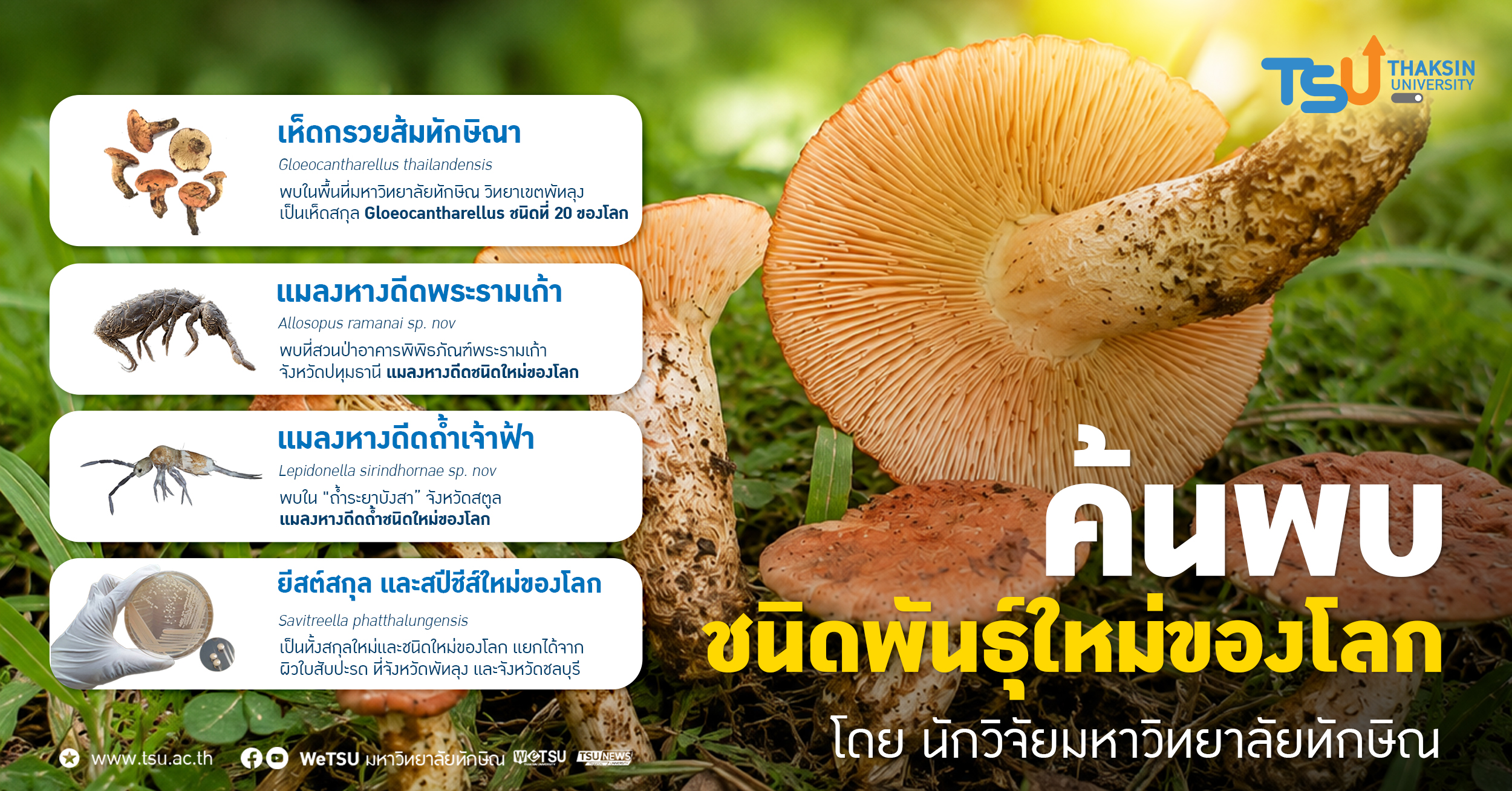 การค้นพบชนิดพันธุ์ใหม่ของโลก โดยนักวิจัยมหาวิทยาลัยทักษิณ